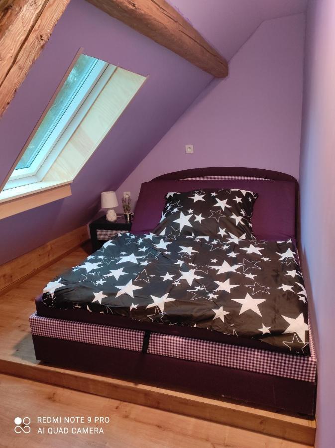 Apartman Sumava U Rybaku Volenice  Luaran gambar
