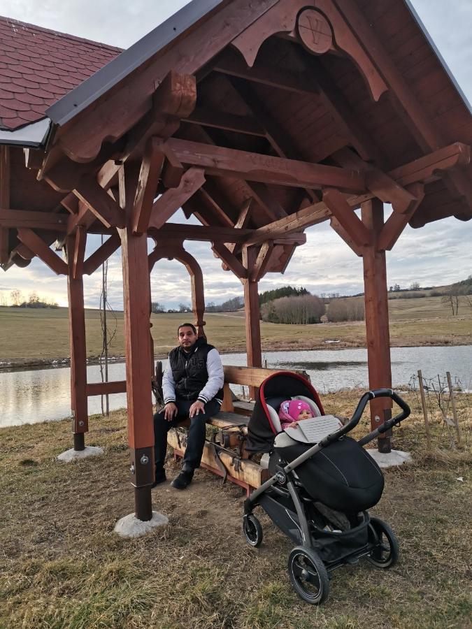 Apartman Sumava U Rybaku Volenice  Luaran gambar